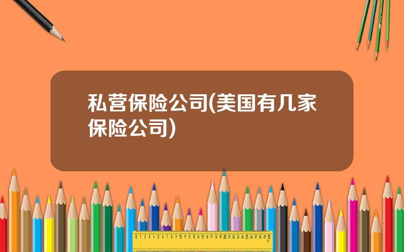 私营保险公司(美国有几家保险公司)