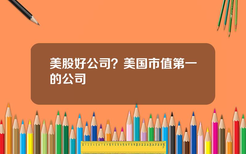 美股好公司？美国市值第一的公司