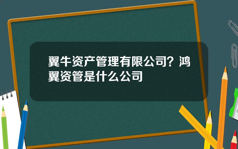 翼牛资产管理有限公司？鸿翼资管是什么公司