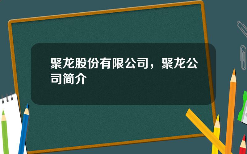 聚龙股份有限公司，聚龙公司简介