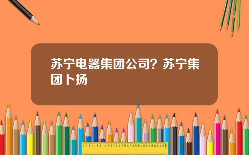 苏宁电器集团公司？苏宁集团卜扬