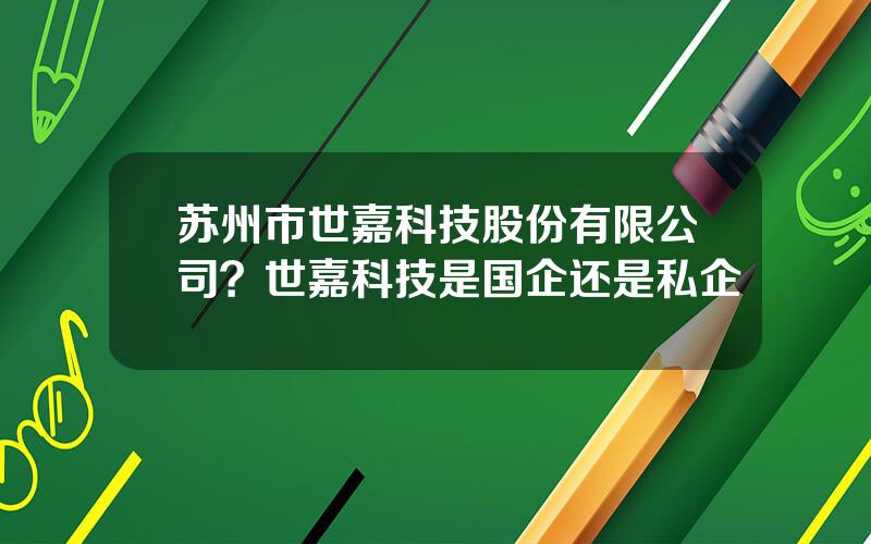 苏州市世嘉科技股份有限公司？世嘉科技是国企还是私企