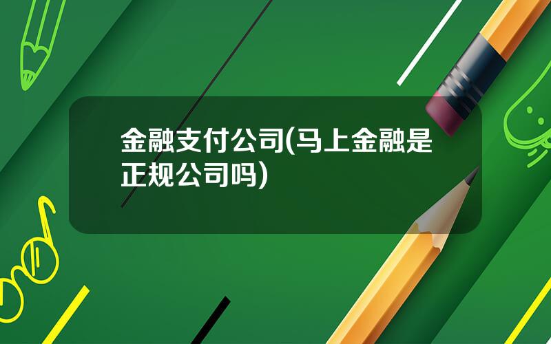 金融支付公司(马上金融是正规公司吗)