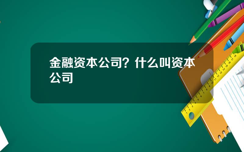 金融资本公司？什么叫资本公司